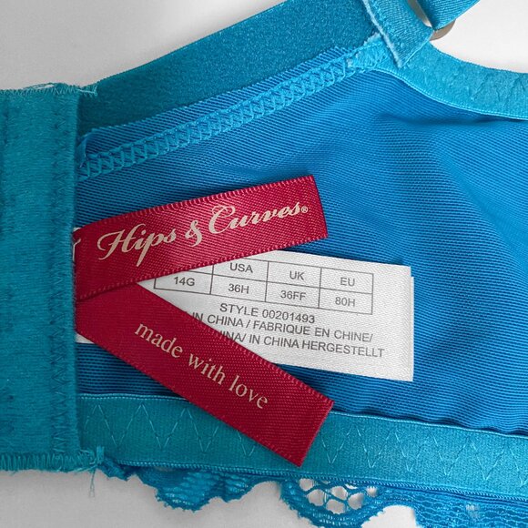 Hips and Curves - Teal Lace Bra - Picture 3 of 5